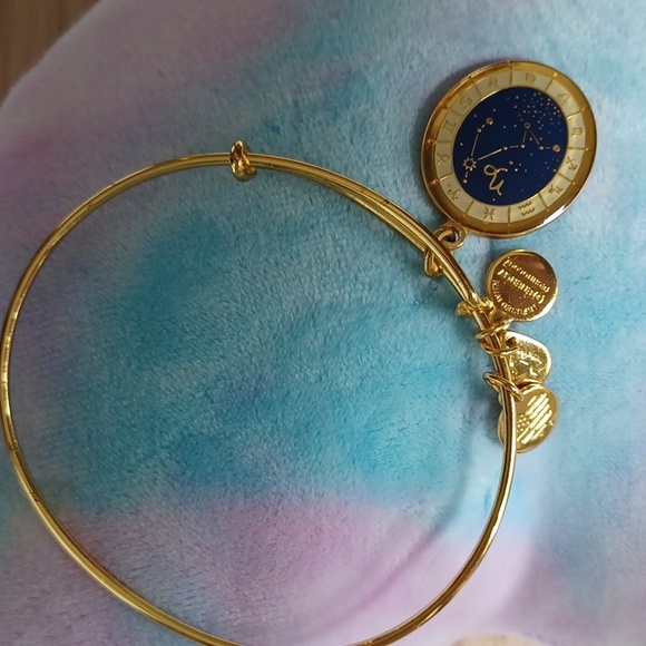 Capricorn Celestial Wheel expandable bangle by Alex and Ani RARE/DISCONTINUED - Picture 11 of 12